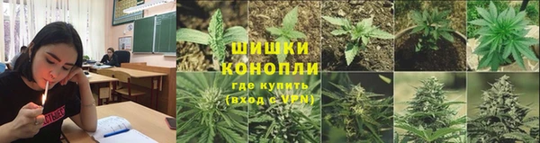 apvp Волосово